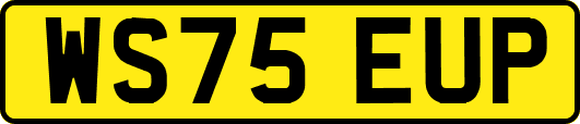 WS75EUP
