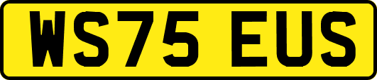 WS75EUS