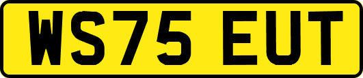 WS75EUT