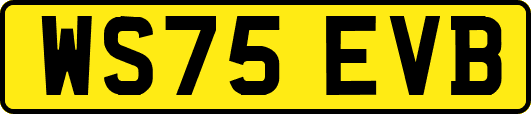 WS75EVB