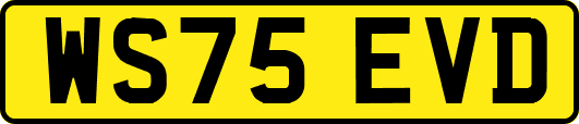 WS75EVD