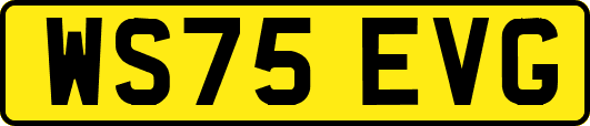 WS75EVG