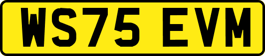 WS75EVM