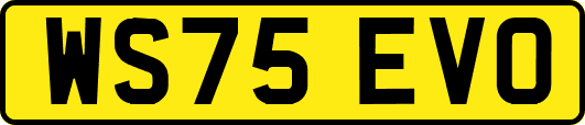 WS75EVO