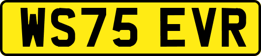 WS75EVR