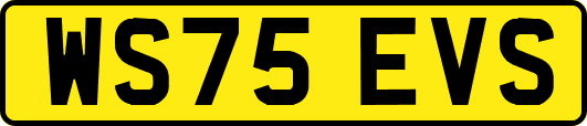 WS75EVS