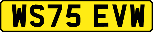 WS75EVW
