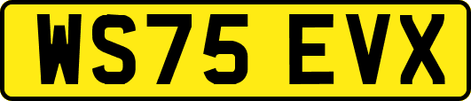 WS75EVX