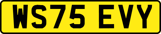 WS75EVY