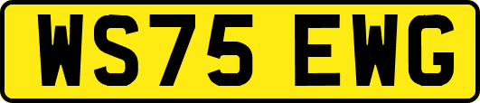 WS75EWG