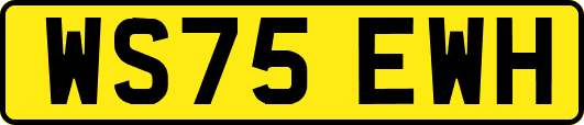 WS75EWH