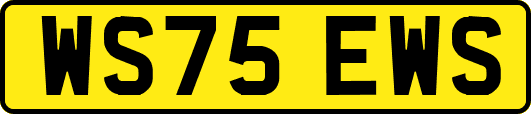 WS75EWS