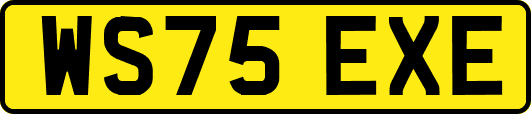 WS75EXE