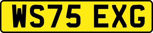 WS75EXG