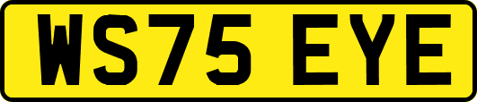 WS75EYE