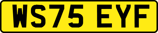 WS75EYF