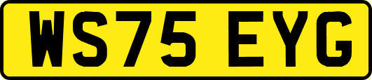 WS75EYG