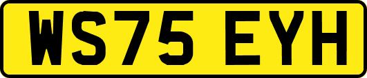 WS75EYH