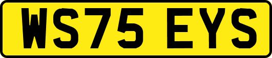 WS75EYS