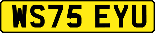 WS75EYU