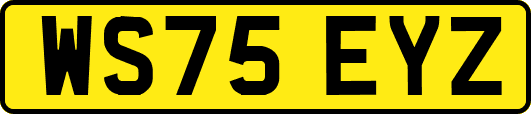 WS75EYZ