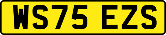 WS75EZS