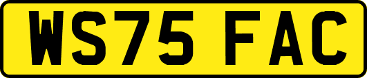 WS75FAC