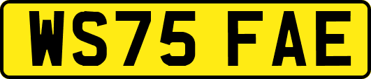 WS75FAE