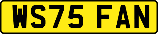 WS75FAN