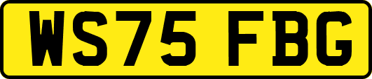 WS75FBG