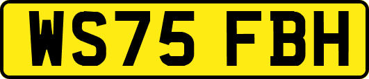 WS75FBH