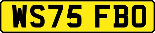 WS75FBO