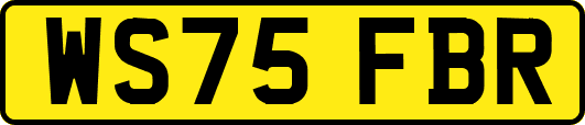WS75FBR