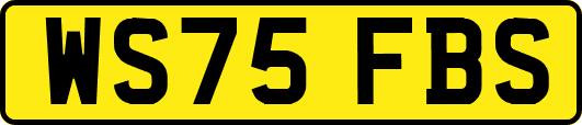 WS75FBS
