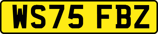 WS75FBZ