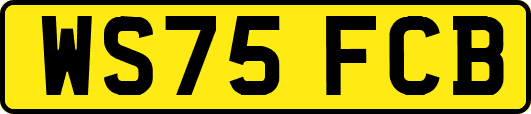 WS75FCB