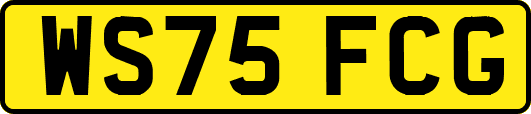 WS75FCG
