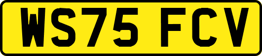 WS75FCV