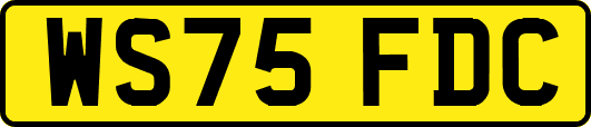 WS75FDC