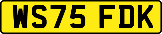 WS75FDK