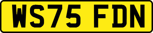 WS75FDN