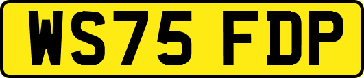 WS75FDP