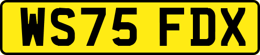 WS75FDX
