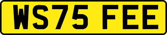 WS75FEE