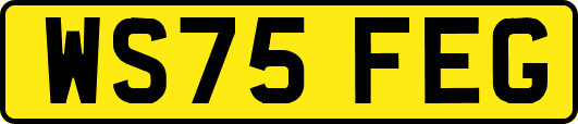 WS75FEG