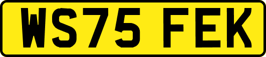 WS75FEK