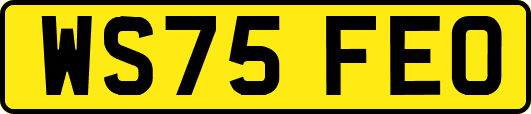 WS75FEO