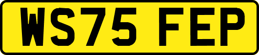 WS75FEP