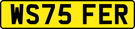 WS75FER