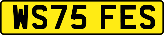 WS75FES